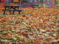  Autumn leaves and the wood table    