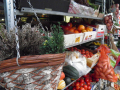 Basket and fruit selection