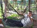 Boy in a climbing net
