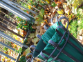 Waste bin and fallen leaves	