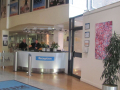 Image of a reception, green plant