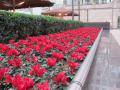 Flower bench
