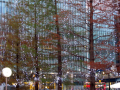 Christmas tree Lighting Outside Shopping Centre