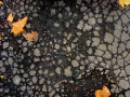  Cracked ground  