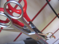 A close up of the scissors used by the hairdressers