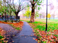 Pathway