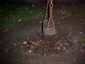 Swing’s Seat From A Distance