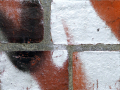 Graffiti on the wall