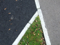 Path intersection 
