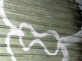 Graffitti