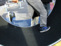 Playing on hamster wheel