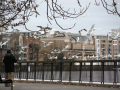 Feeding seagulls by river