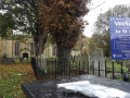 Church yard with tree