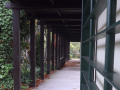 View through pergola