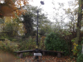 Bench with autumn leaves on ground