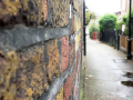 Pathway