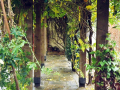 Vestry House Garden