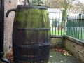 Witches’ barrel
