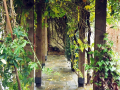 Vestry House Garden