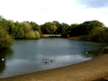 Looking over Hollow Ponds
