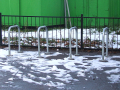 Bike racks in the snow