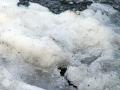 Snow on the ground