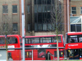 Buses	