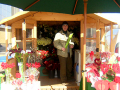 flower stall