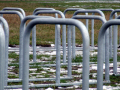 Bike rack