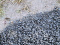 Tarmac and mud