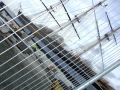 Restoring ship
