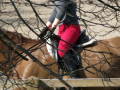 Someone on horseback