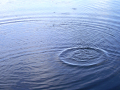 Water ripples