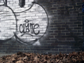 Graffiti and dry leaves