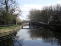 View down the river