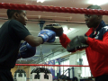 Boxing in ringG