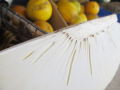 Bread fruit 