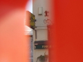 Shop seen through building works fence