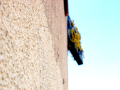 Close up of wall and fish & chips sign