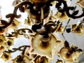 Golden lamp