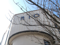 A tree branch in front of the Rio Cinema 