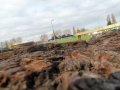 Tree log