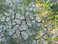 cracked earth 