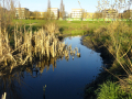 lake tributary