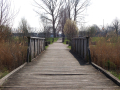 A wooden walkway leading up a hill	