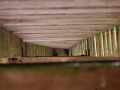 Platform seen from below