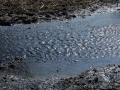 Rippiling water from the Quagy River