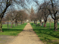 Entrance path of park