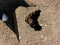 Log with heart in it