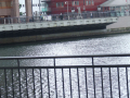 looking across the dock